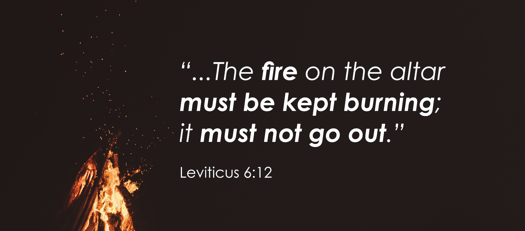 Keep the [HOLY] fire BURNING! 🔥🕊️